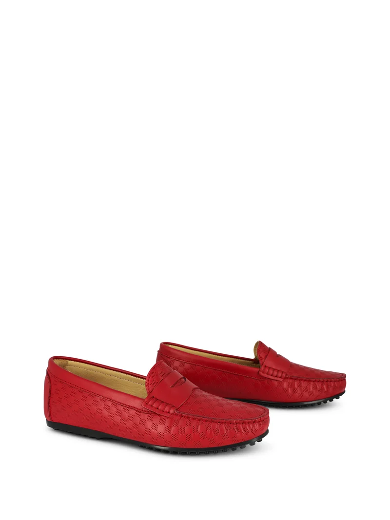 LEDRO RED