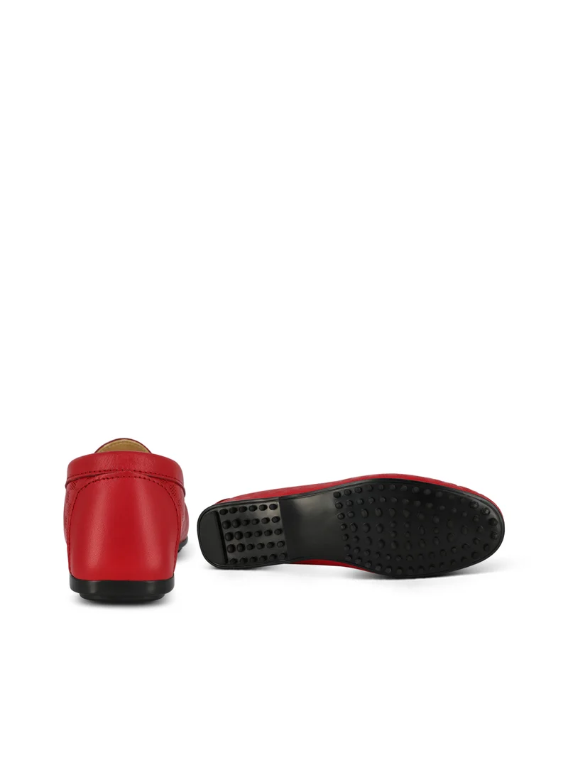 LEDRO RED