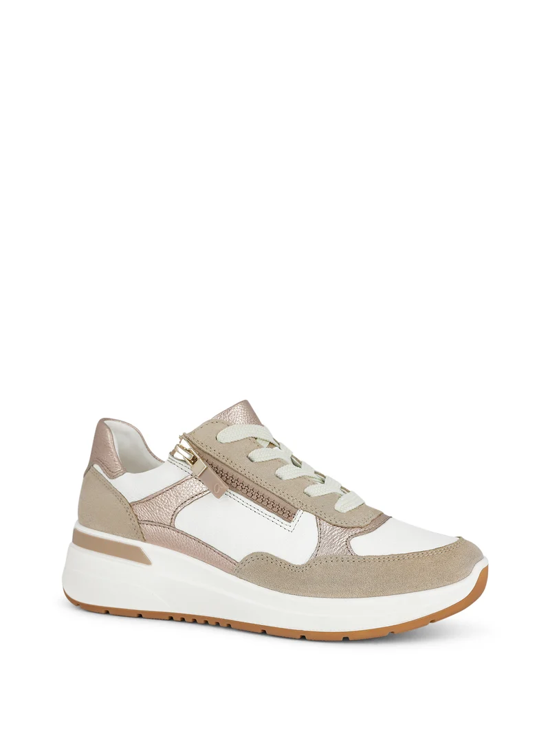 ALLIGATOR WHITE~SHELL