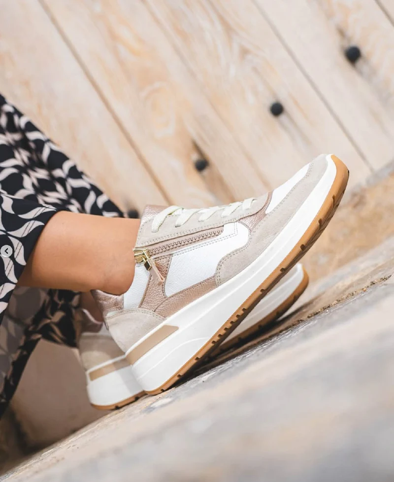 ALLIGATOR WHITE~SHELL