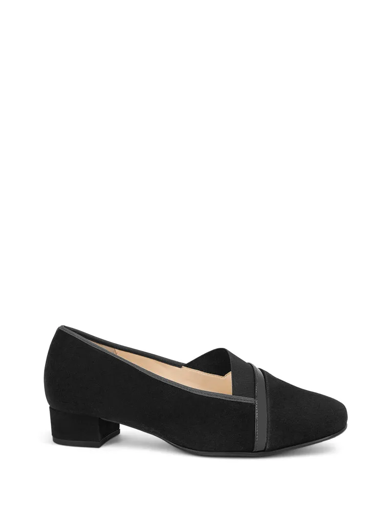 HOLLANDIA BLACK