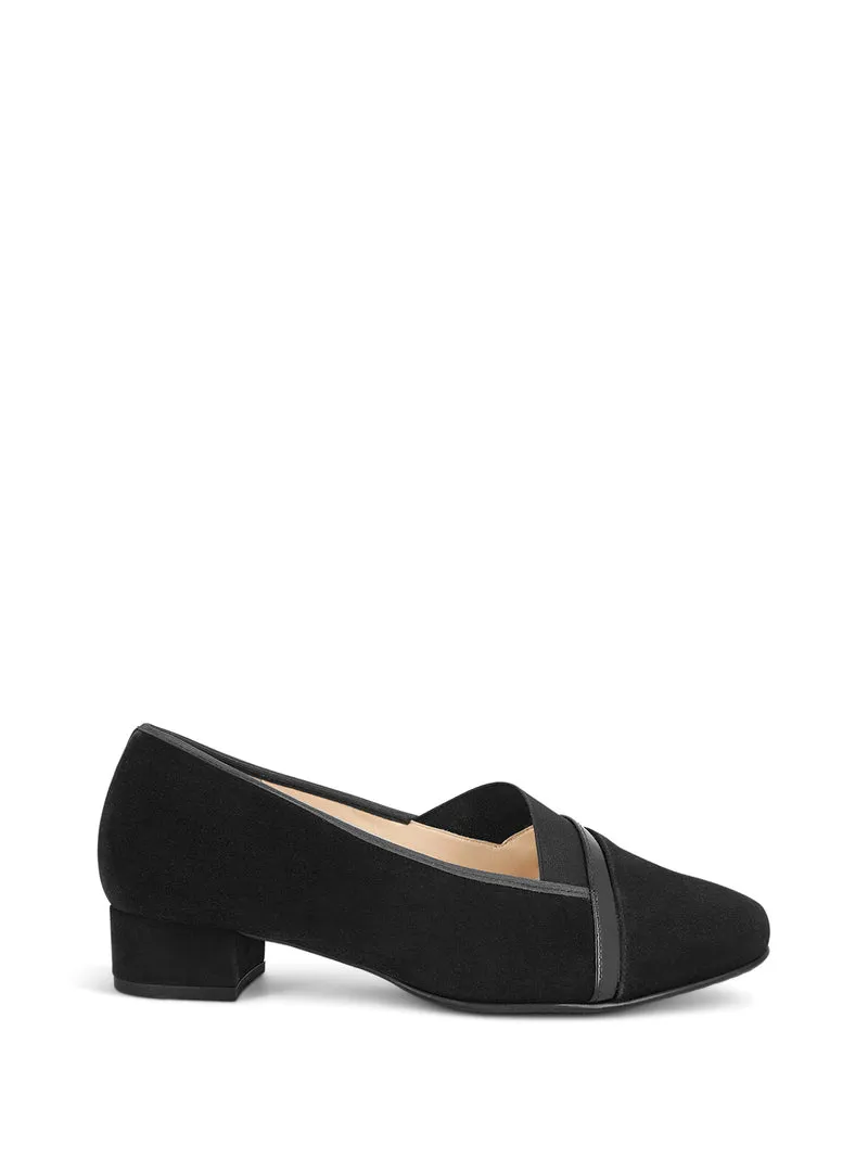 HOLLANDIA BLACK