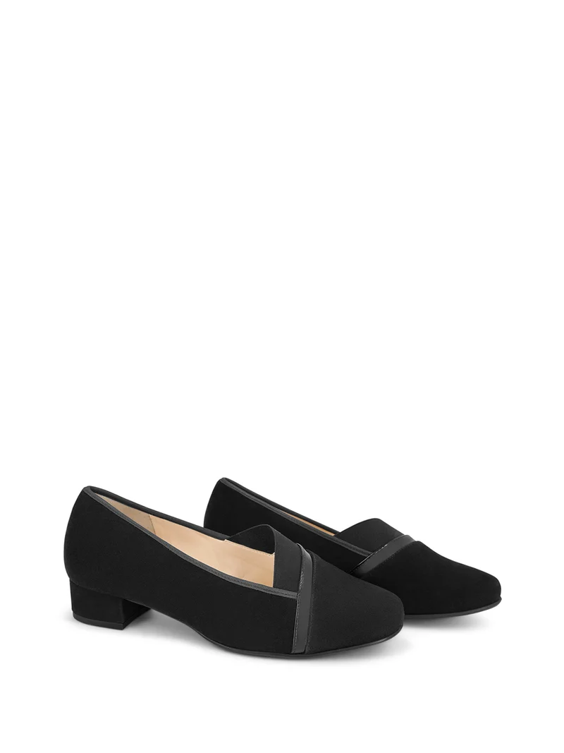 HOLLANDIA BLACK