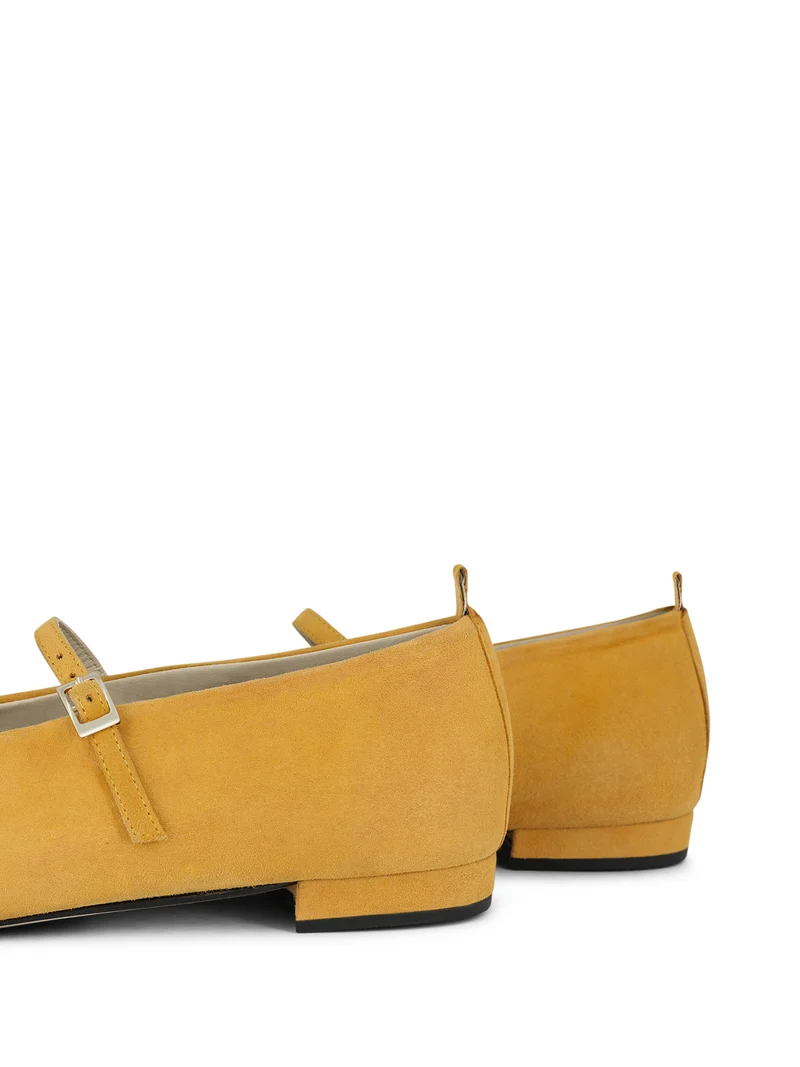 LORIENT OCHRE