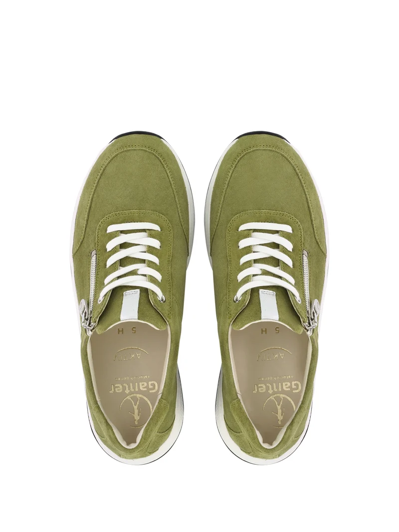 HIGH FLYER PISTACHIO