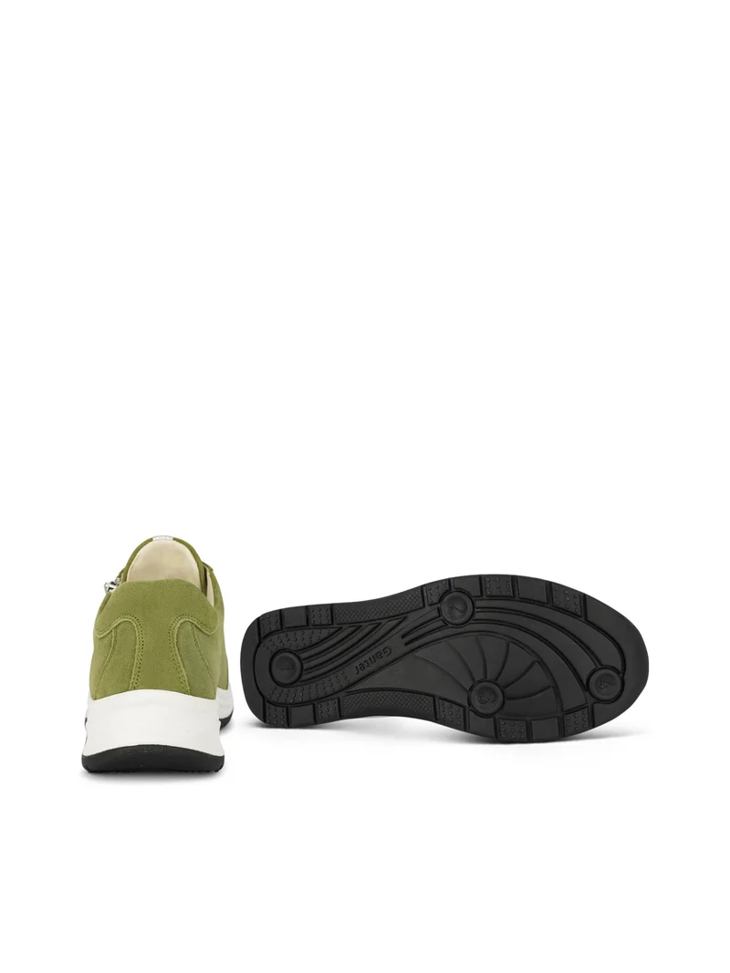 HIGH FLYER PISTACHIO