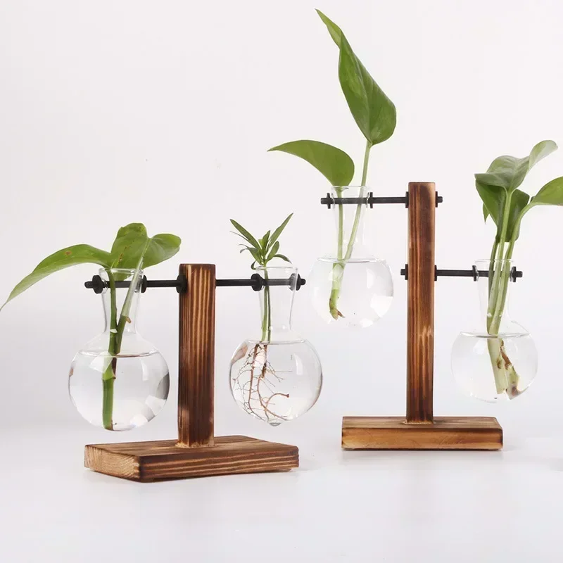 Floria Pflanzenterrarium – Glaskolben-Vase mit Holzständer