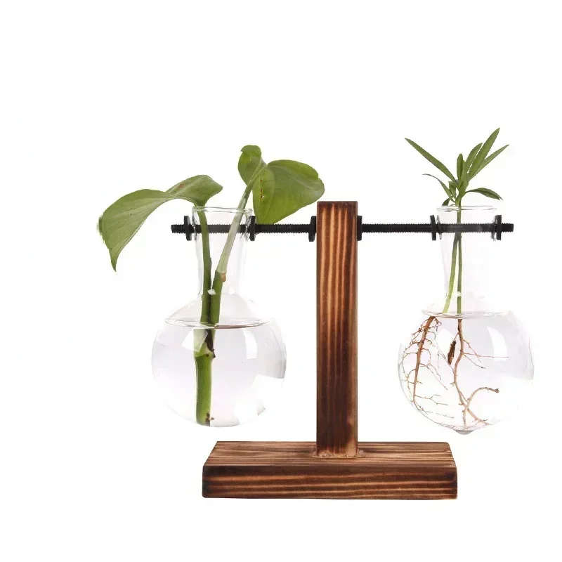 Floria Pflanzenterrarium – Glaskolben-Vase mit Holzständer