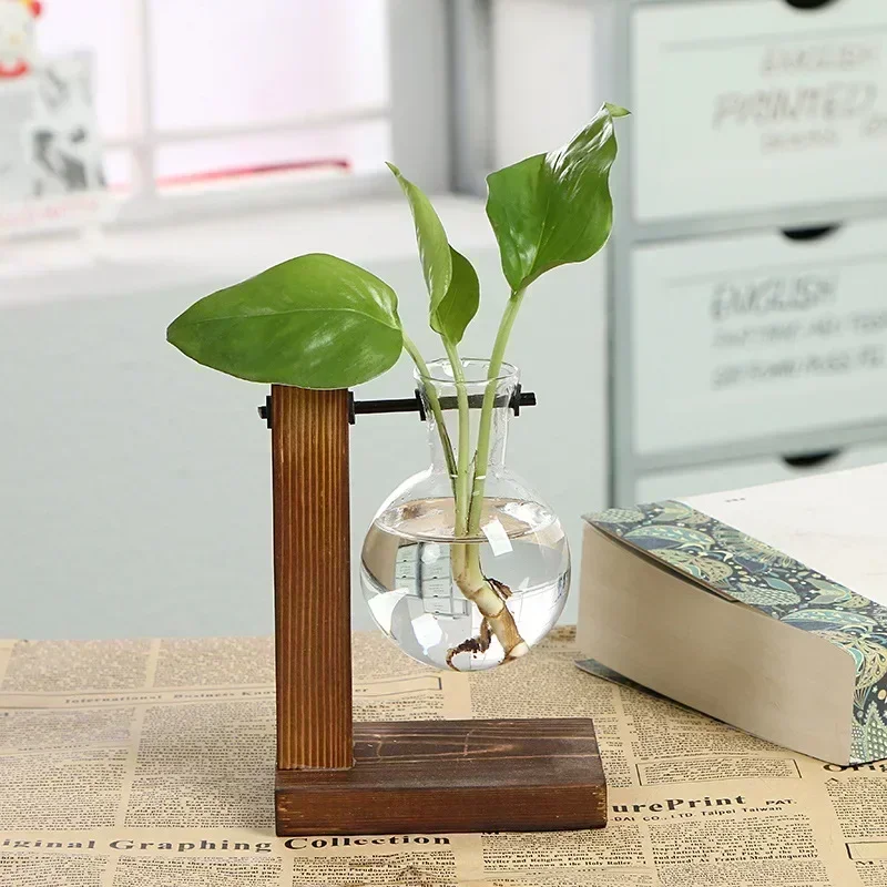 Floria Pflanzenterrarium – Glaskolben-Vase mit Holzständer
