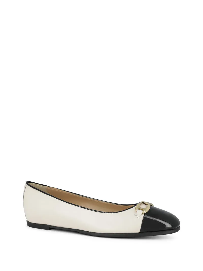 CAVAZZO MILK~BLACK