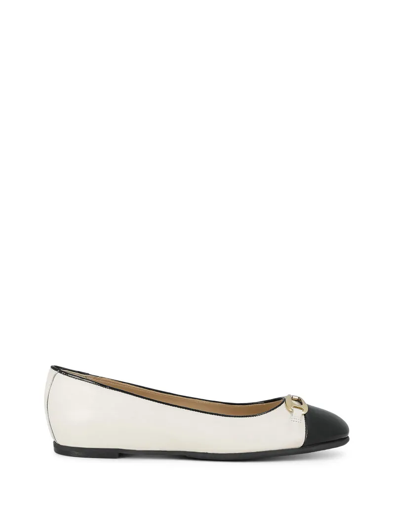 CAVAZZO MILK~BLACK