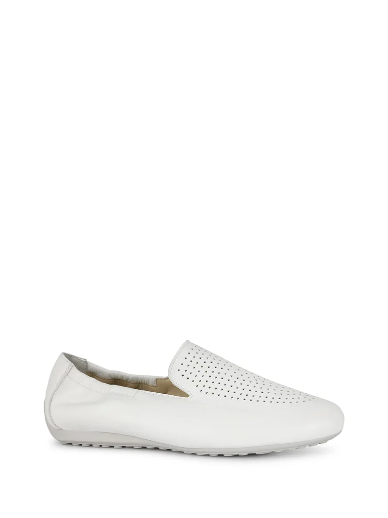 SARCHI WHITE
