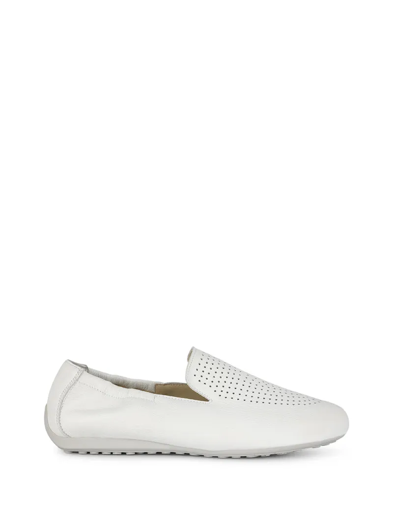 SARCHI WHITE