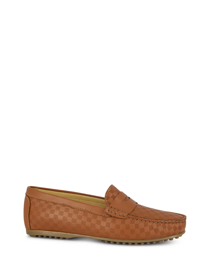 LEDRO CAMEL