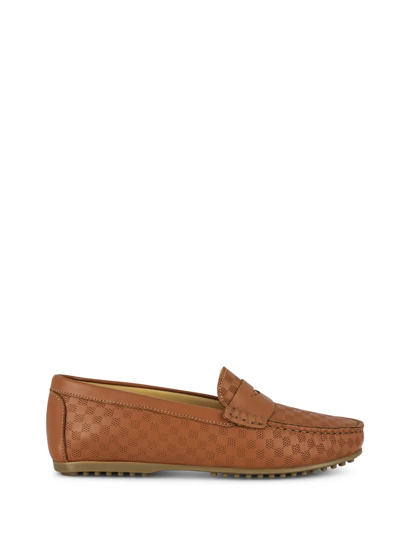 LEDRO CAMEL