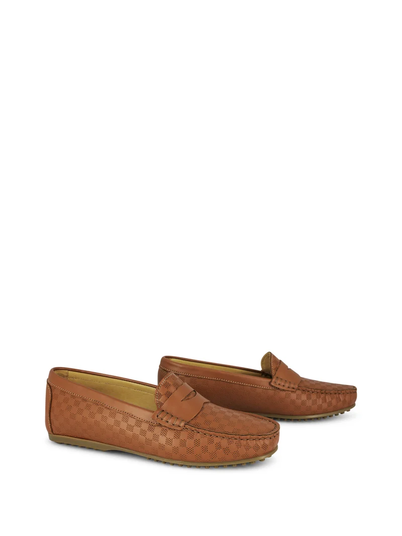LEDRO CAMEL