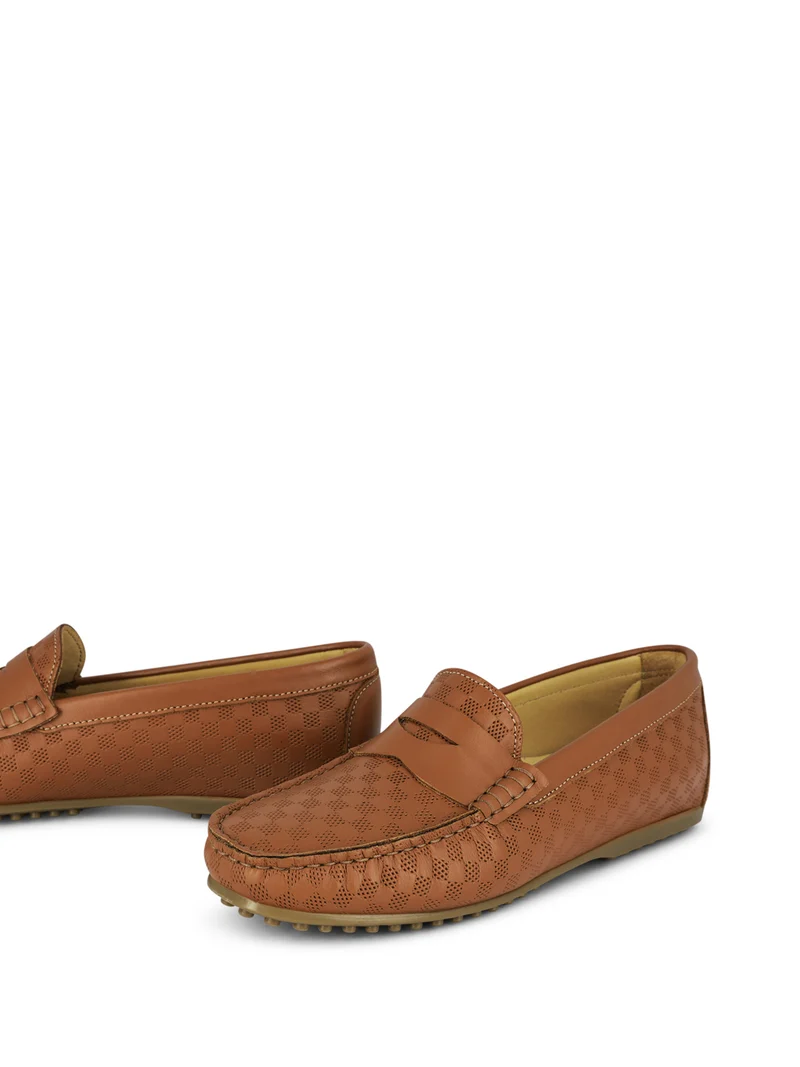 LEDRO CAMEL