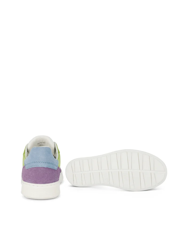 TEDROSO 702 MULTI