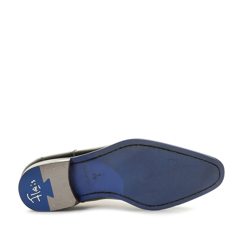 De Netter 20.01