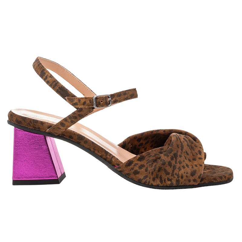 Cassi 02.00