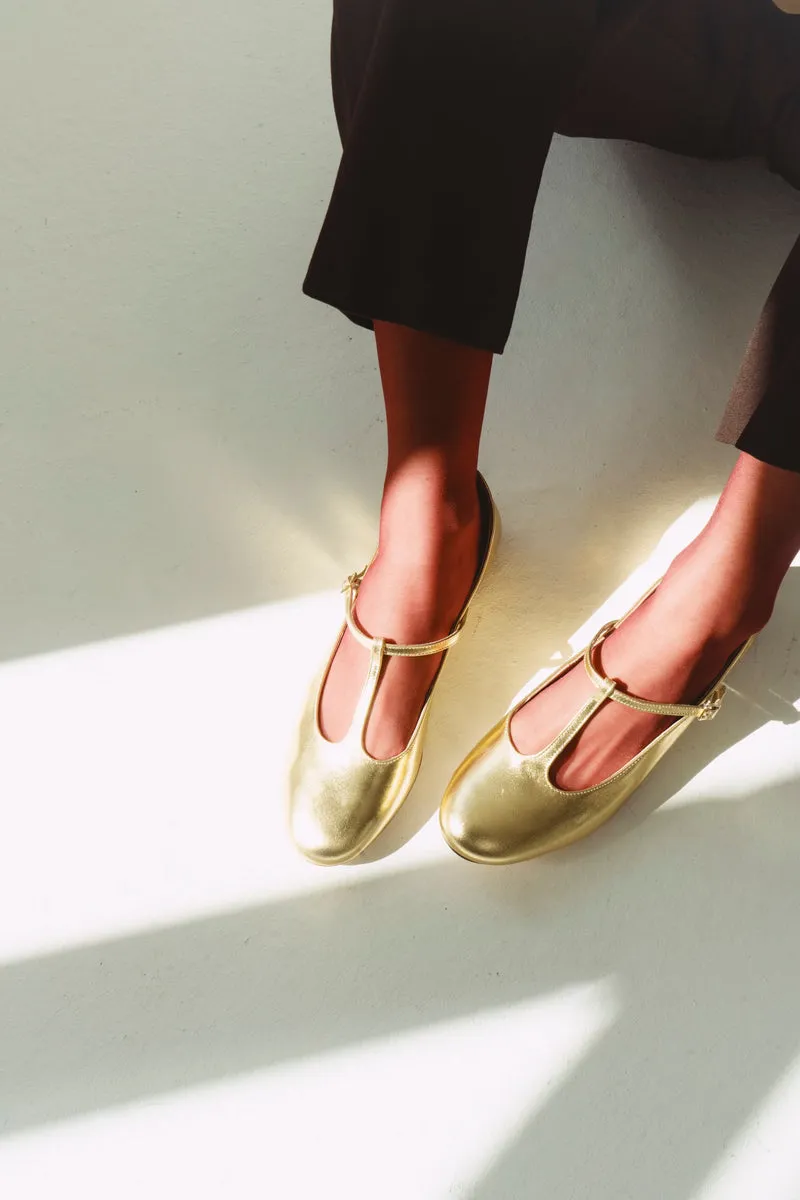Ari Gold Metallic-Leder