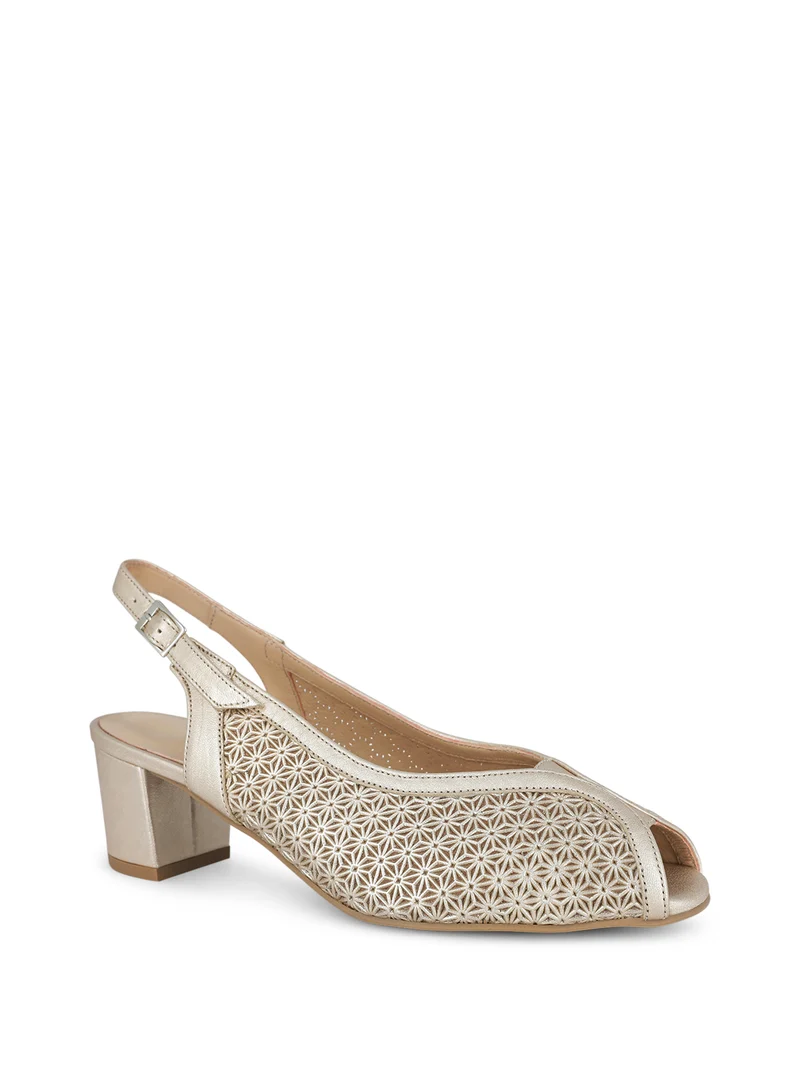JAMMEL CHAMPAGNE