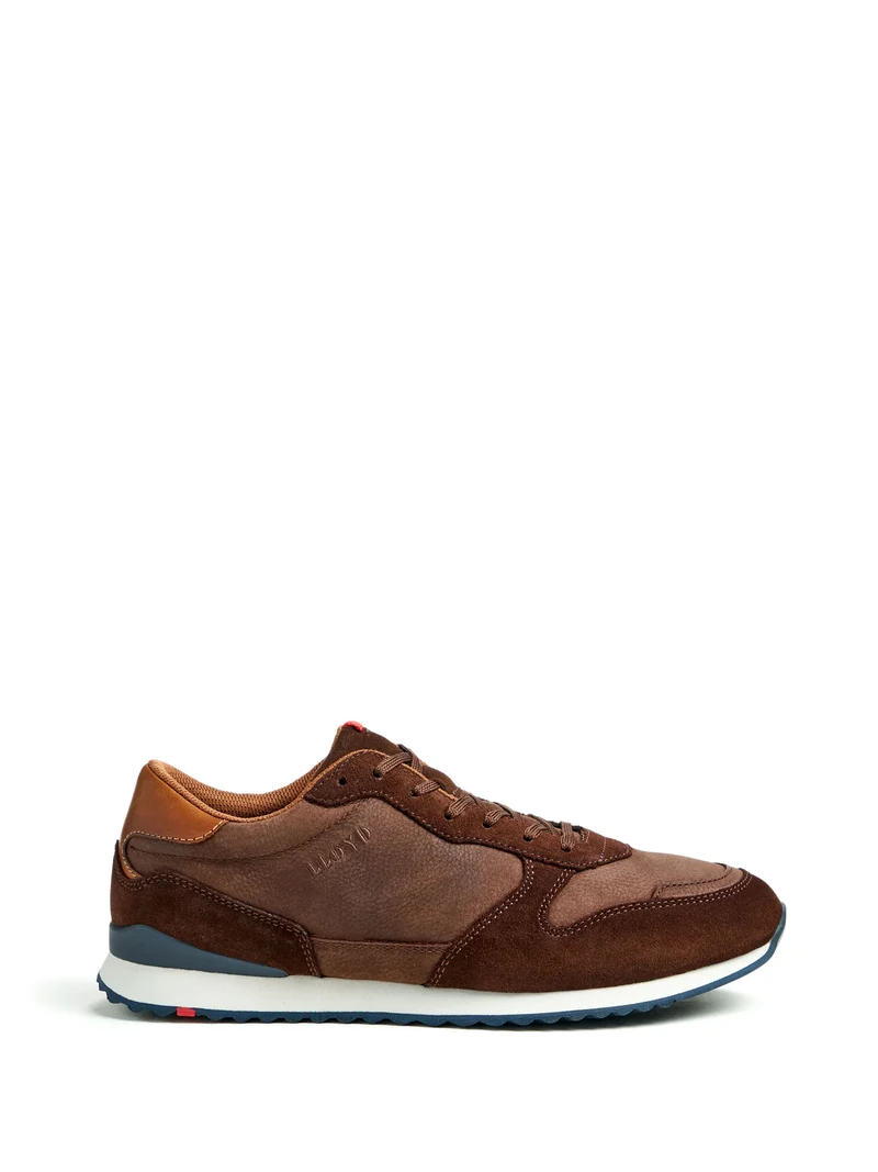 EDMOND DK BROWN Standard Fit