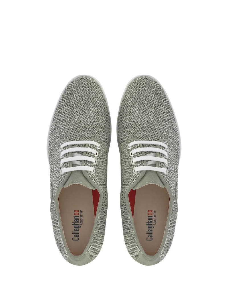 COLLIA OLIVE