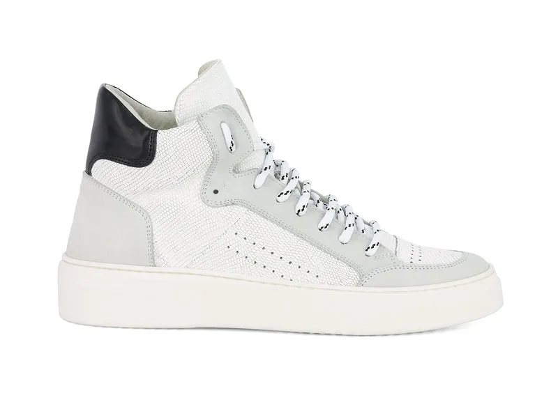 CAMON WHITE~GREY
