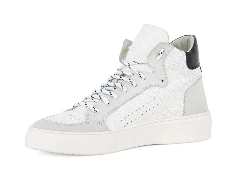 CAMON WHITE~GREY