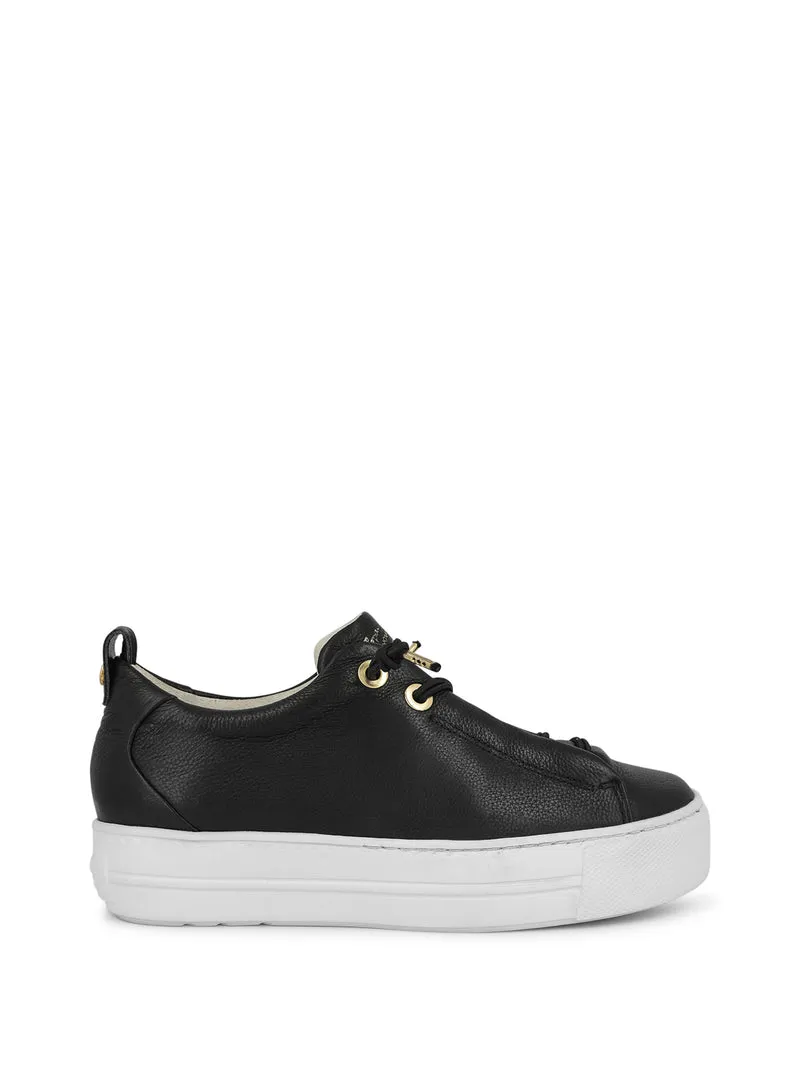 POLTEN BLACK