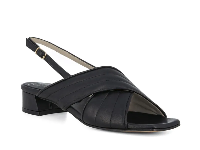 BETULLA BLACK