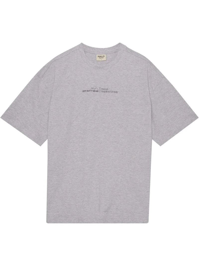 Halo - Graphic Boxy T-Shirt 230418 - 2010 - Light Grey Melange