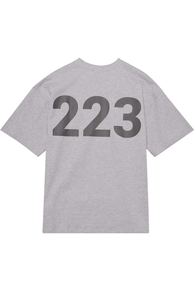 Halo - Graphic Boxy T-Shirt 230418 - 2010 - Light Grey Melange
