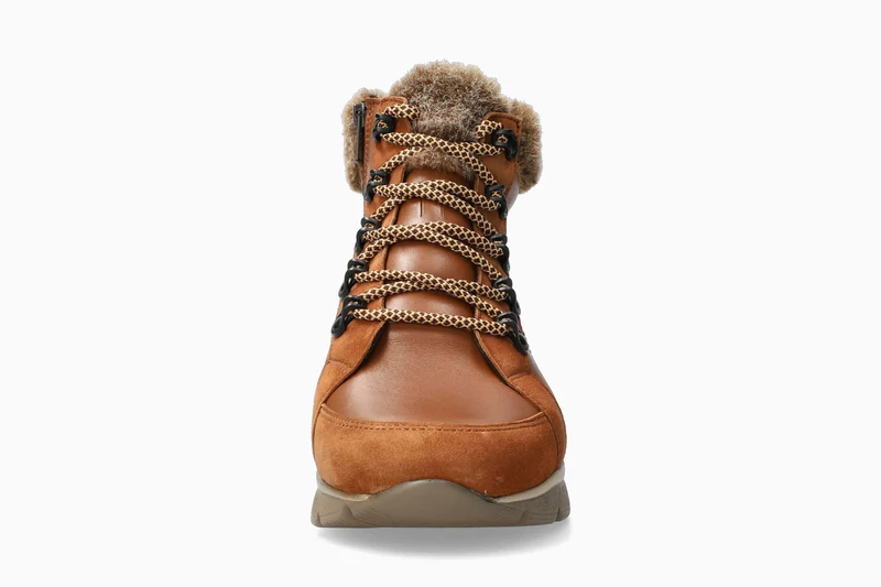 Bottines EVODIA marron