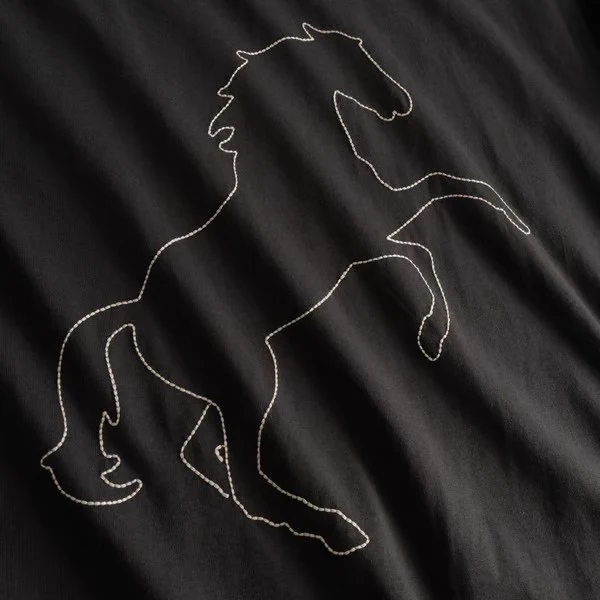 DEDICATED T-Shirt Vadstena Wild Horse Stitch Emb Charcoal