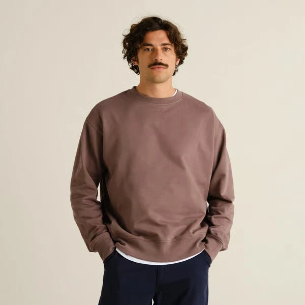 DEDICATED Sweatshirt Bettna Sparrow Brown