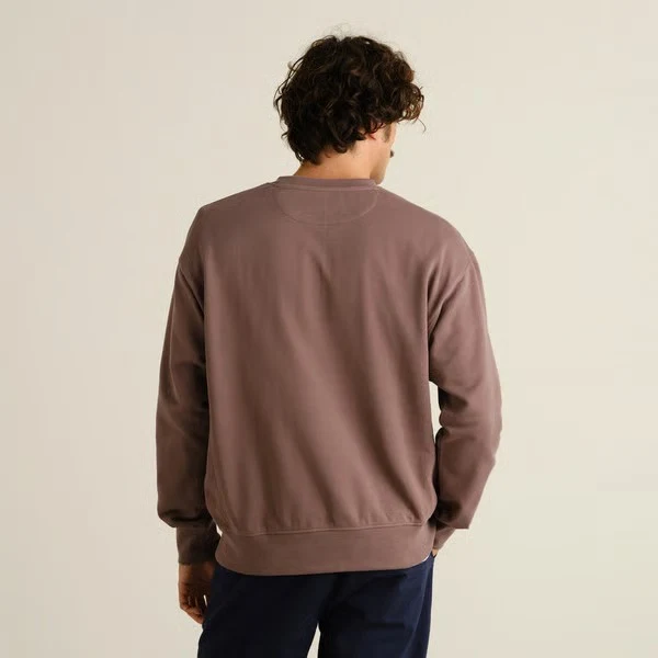 DEDICATED Sweatshirt Bettna Sparrow Brown