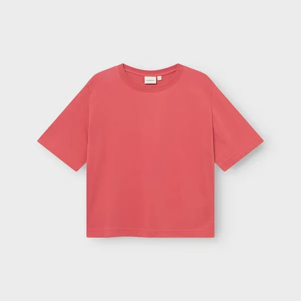 DEDICATED T-Shirt Vadstena Base Holly Red