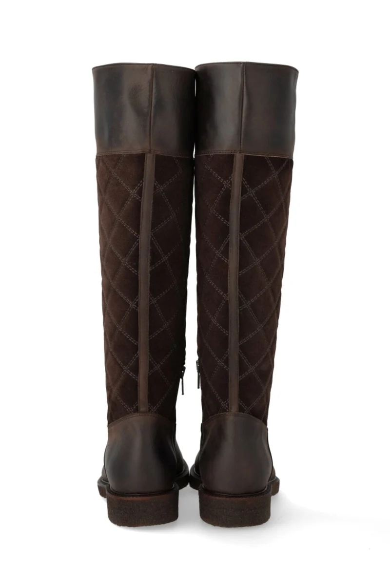 Angulus - 7862-101 7862-101 - Brown/dark Brown