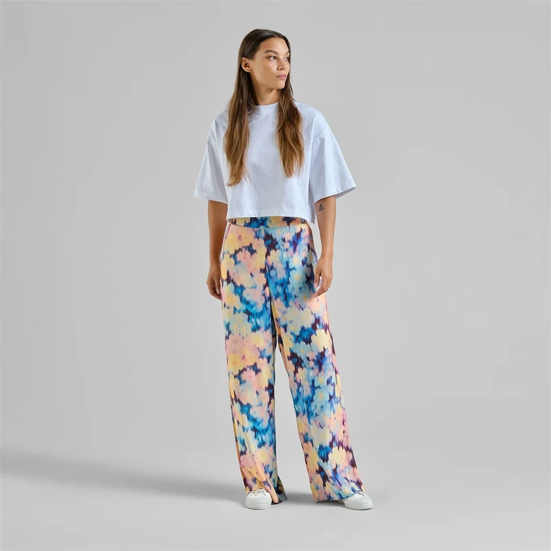 DEDICATED Pants Ale Ikat Field Multi Color