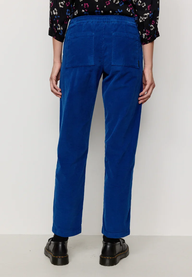 RECOLUTION Calluna lapis blue