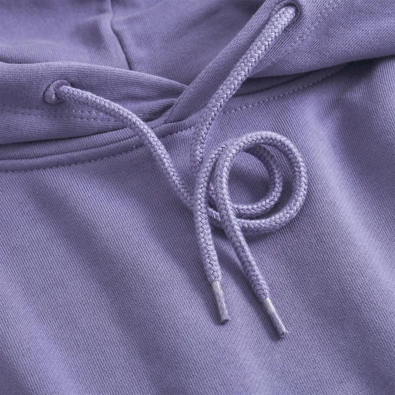 DEDICATED Hoodie Falun Base Heron Blue