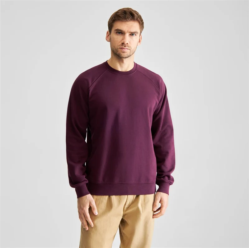DEDICATED Sweatshirt Malmoe Base Fig Red